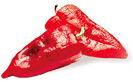 [pepper]