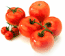 [tomatoes]