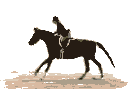jumper in action