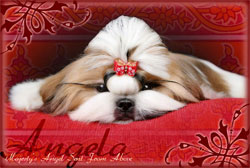 Angela_1