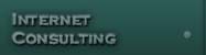 Internet Consulting