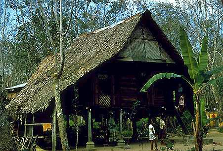 House and Rubber Trees, Penang (63k)