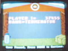 Barnyard High Score