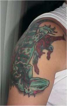 tat20-2_1.JPG (8618 bytes)