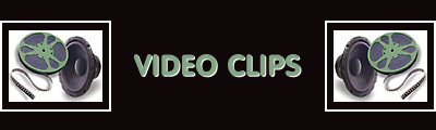 Video Clips