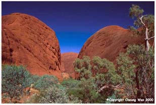 Red rocks round Uluru
