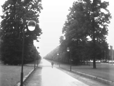 A view at the allée of Hannover-Herrenhausen (an avenue with two rows of trees at each side)
