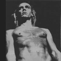 We Will Fall: The Iggy Pop Tribute
