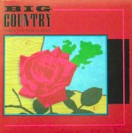 Where The Rose Is Sown CD single