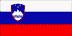 SLO flag