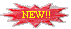 b_new.gif (5317 bytes)