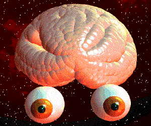 OEs brain is 10 times this big