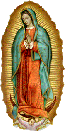 Virgen de Guadalupe. Nuestra Madrina.