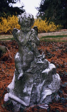 Cherub