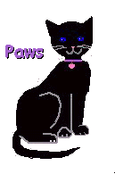 Paws, my Cyber-Kitty