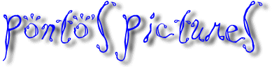 Ponto's pictures on the Net