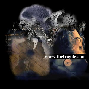 The Fragile