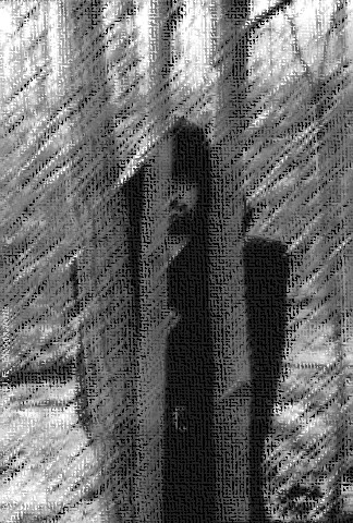 Clark reservation '95