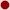 bg_circle.jpg (776 bytes)
