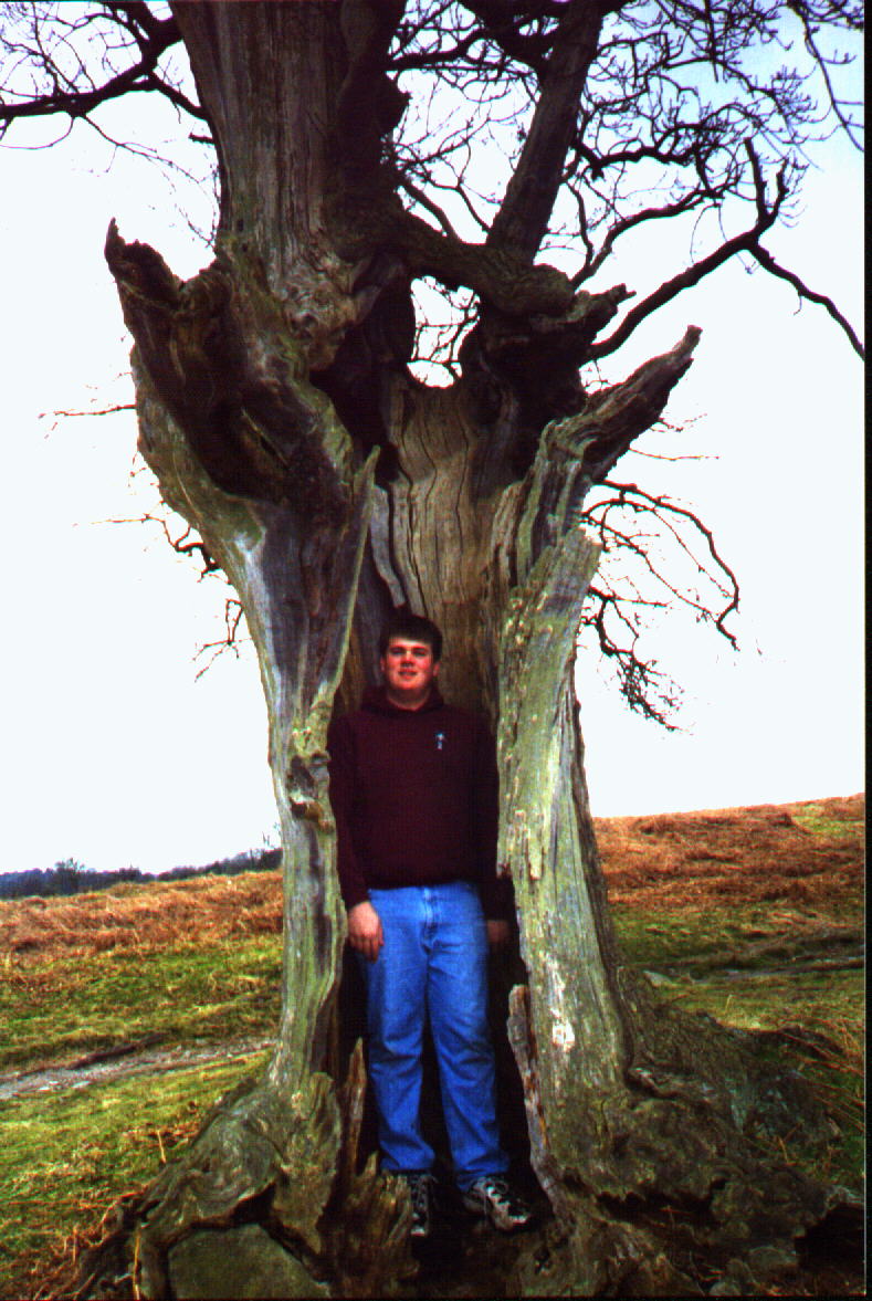 Me stuck in a tree. Well, actually I can get out whenever I want - April '99