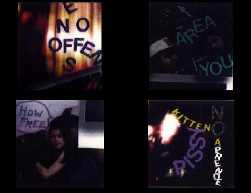 Liz Phair captured in Polaroids.
