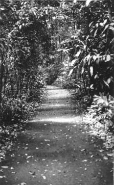 path