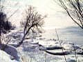 snow_.jpg