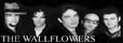Wallflowers