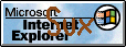 Microsoft Internet Explorer