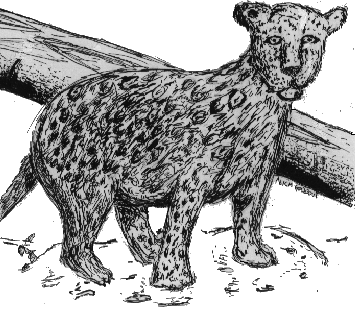 'A Jaguar', by Nick Godbout