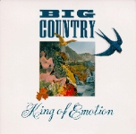 BIG C5 Cover