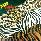 Animalize Album Cover