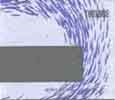 coverCD