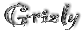 Grizly Logo