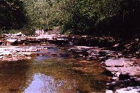 creek2s.jpg (12260 bytes)