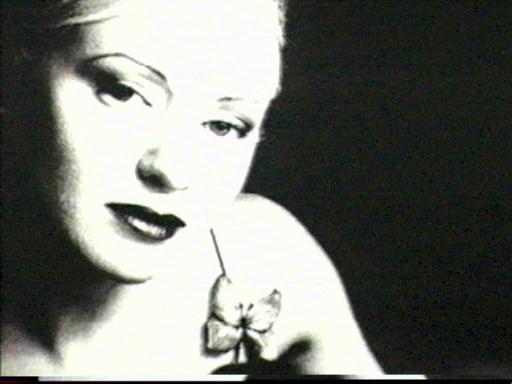 D'arcy Wretsky