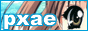 PXAE