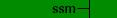 SSM