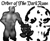 The order of the dark rose