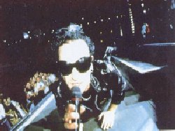the fly