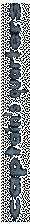 title_captq.gif (3582 bytes)