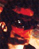 David J