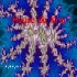 HdK-MV054-CD cover icon