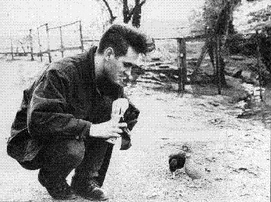 Quack-Quack, Ducky-Wucky!