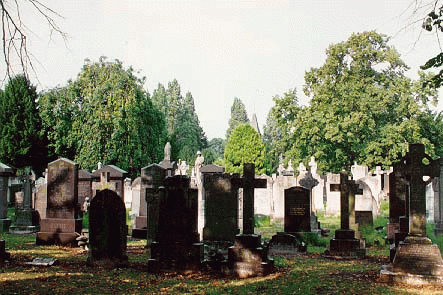 The Cemetery