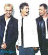 group293
