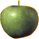 apple.gif (13609 bytes)