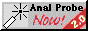 anal probe