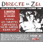 [disc DIRECTE AL ZEL]