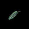 Pepino